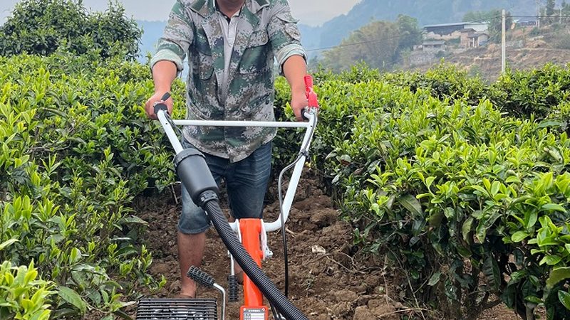 以下为郑州部分农机配件的批发市场价格表，仅供参考：