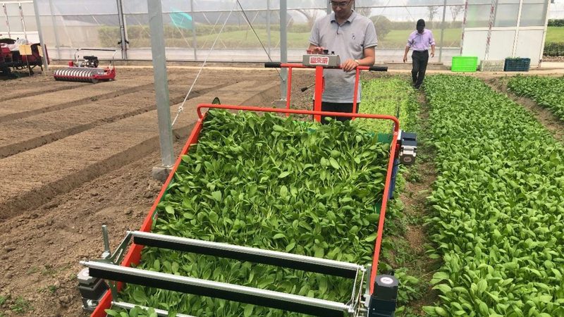 牧草青储机租赁：高效利用，助力乡村振兴**