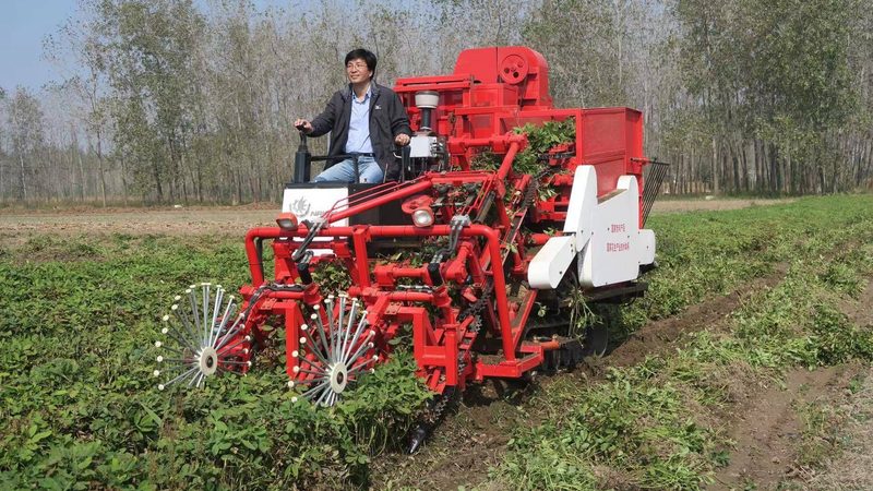 粮食烘干机价格解析：揭秘影响价格的关键因素**